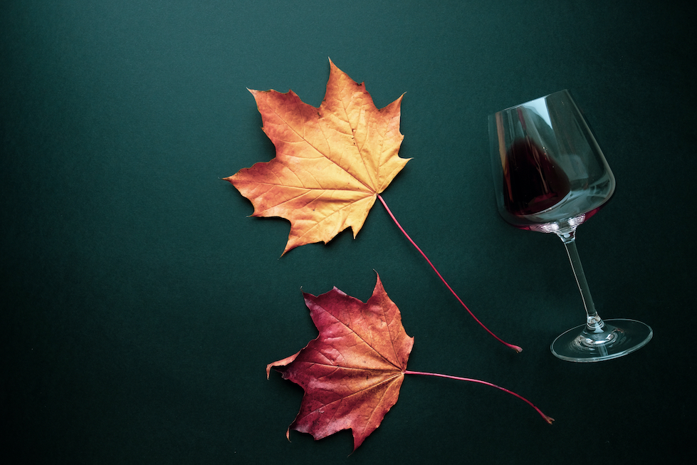 Red Burgundy for the October Chill | 10/18 – 10/24/21